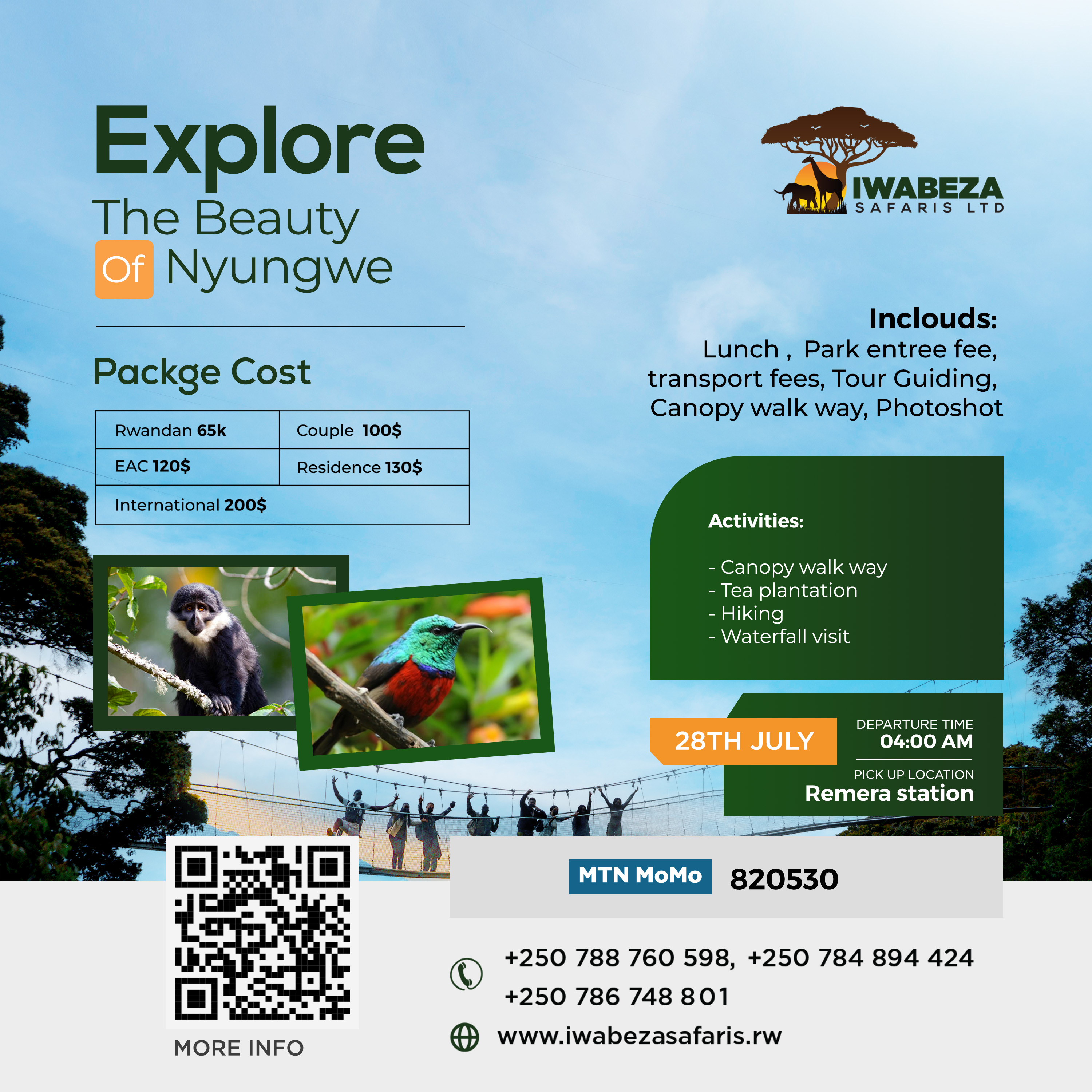 Explore the Beauty of Nyungwe